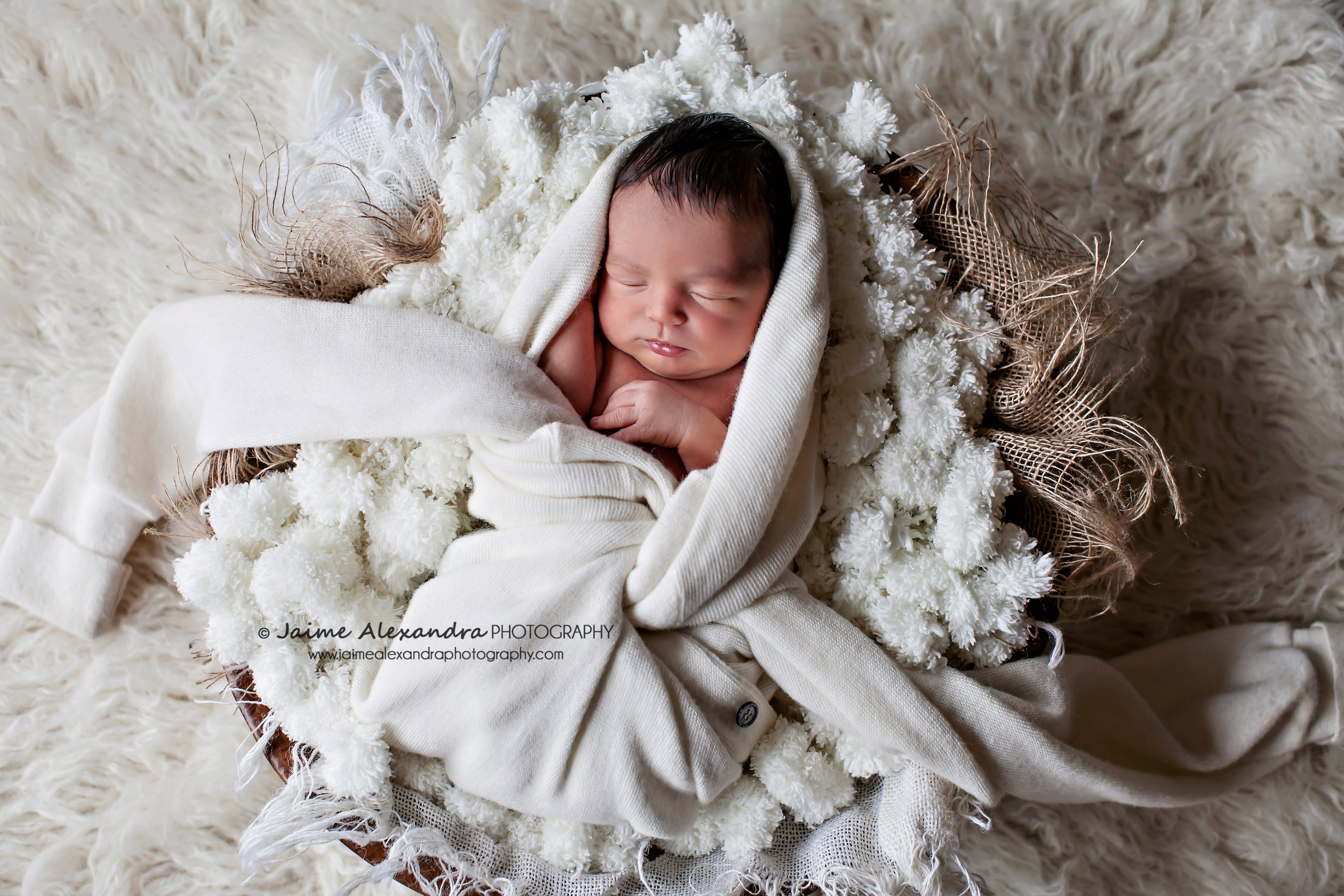 dallas tx newborn photography