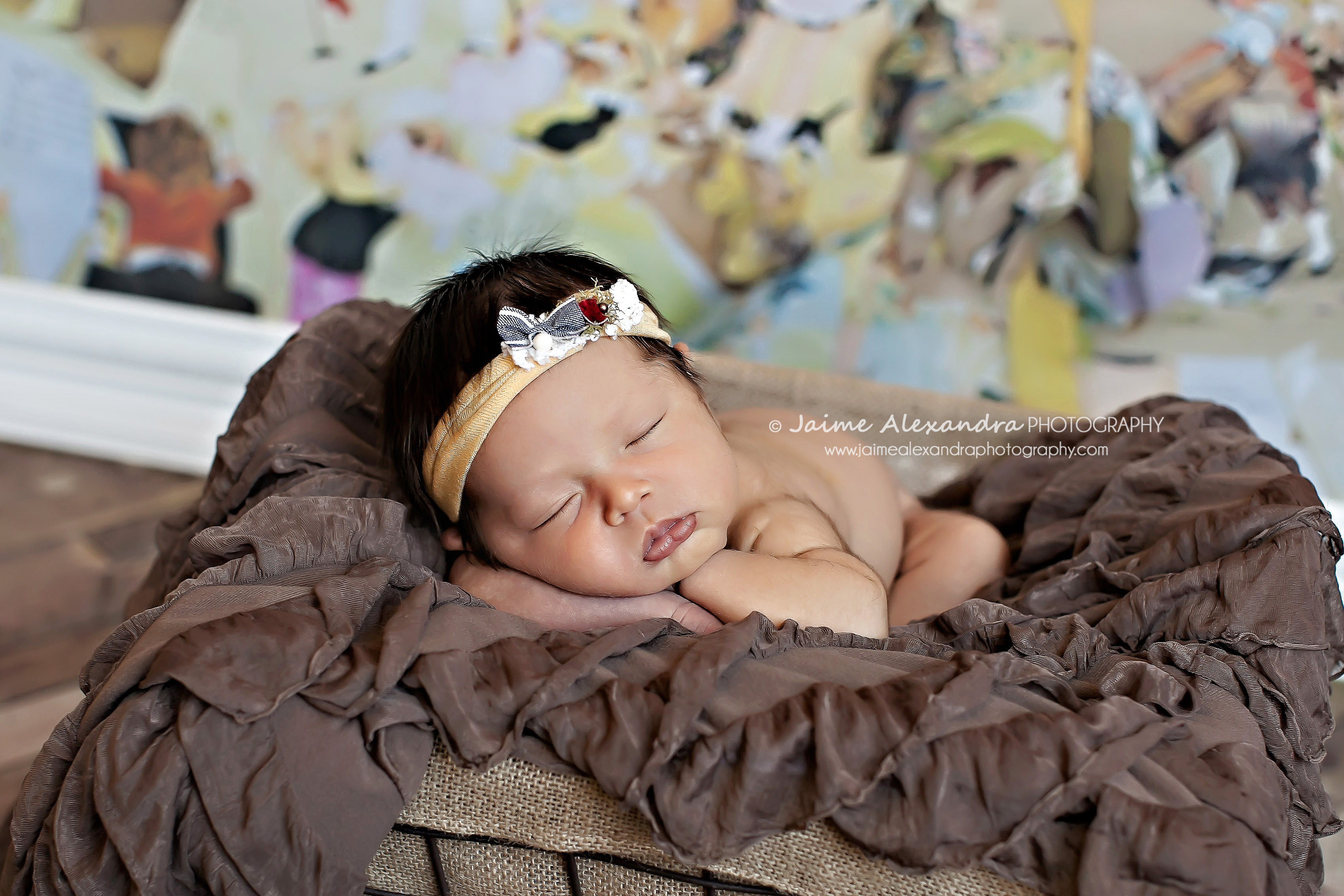 Arlington TX Newborn Photographer