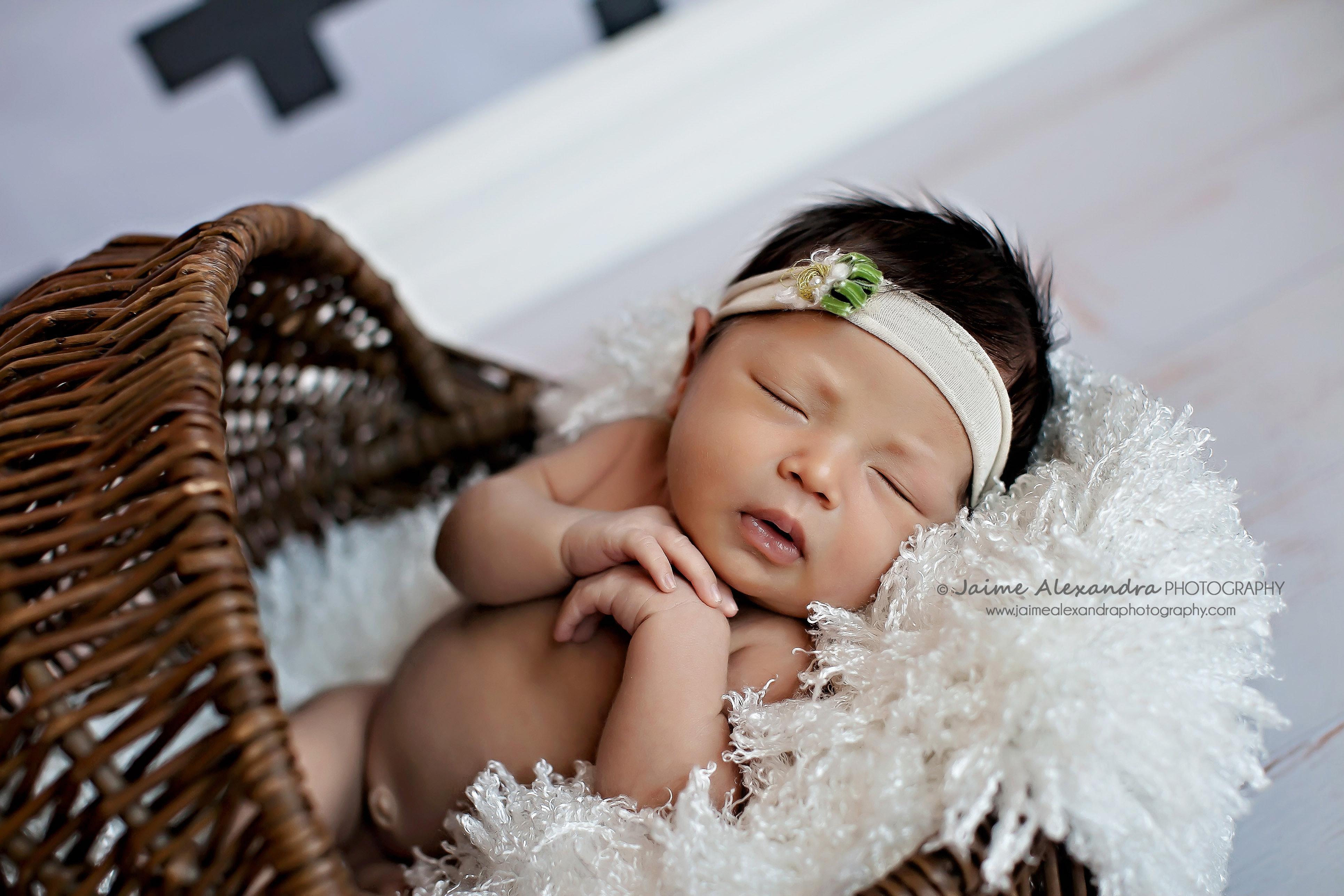 Arlington TX Newborn Photographer