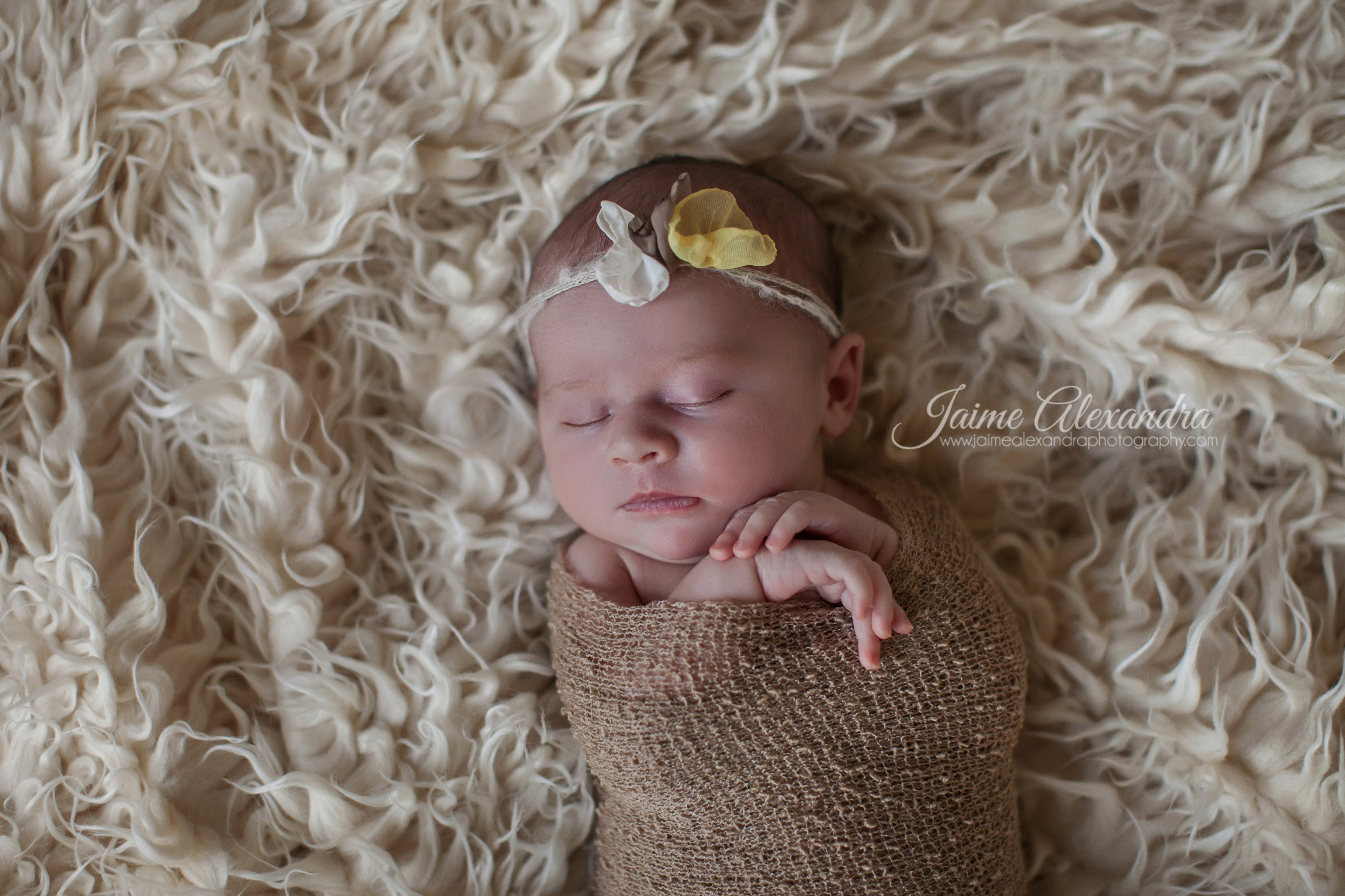 Midlothian Newborn Photographer, Arlington Newborn Photographer