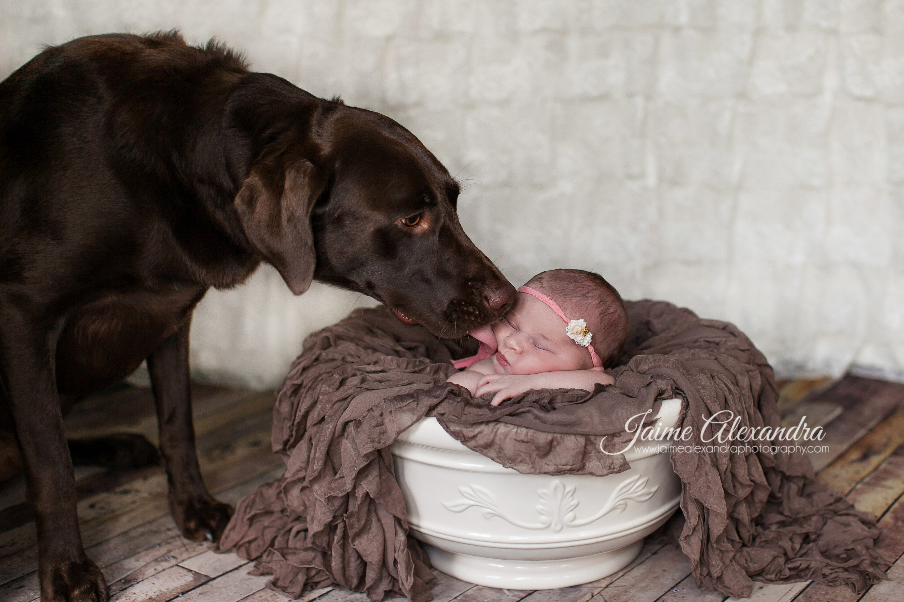 Midlothian Newborn Photographer, Arlington Newborn Photographer