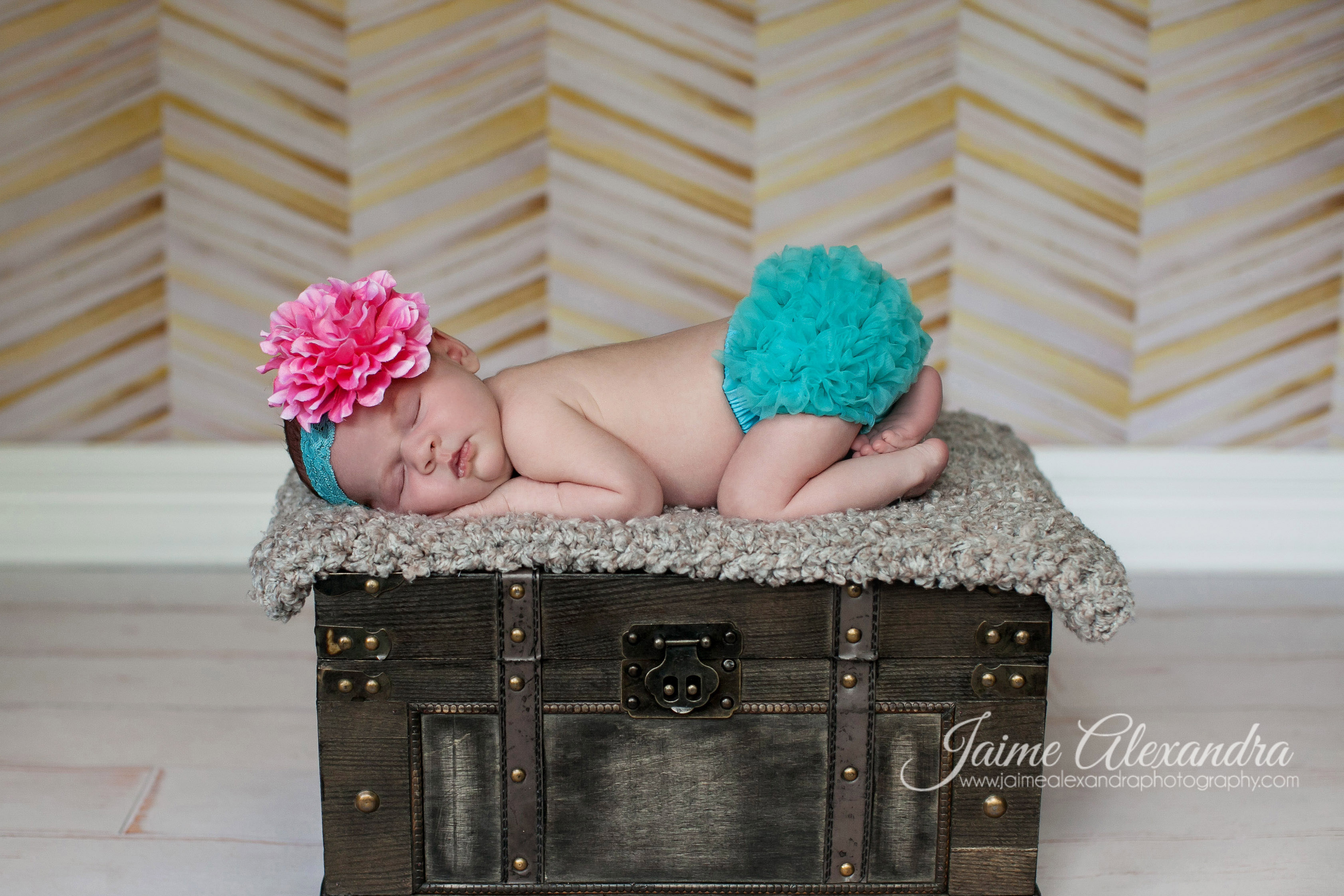 Midlothian Newborn Photographer, Arlington Newborn Photographer