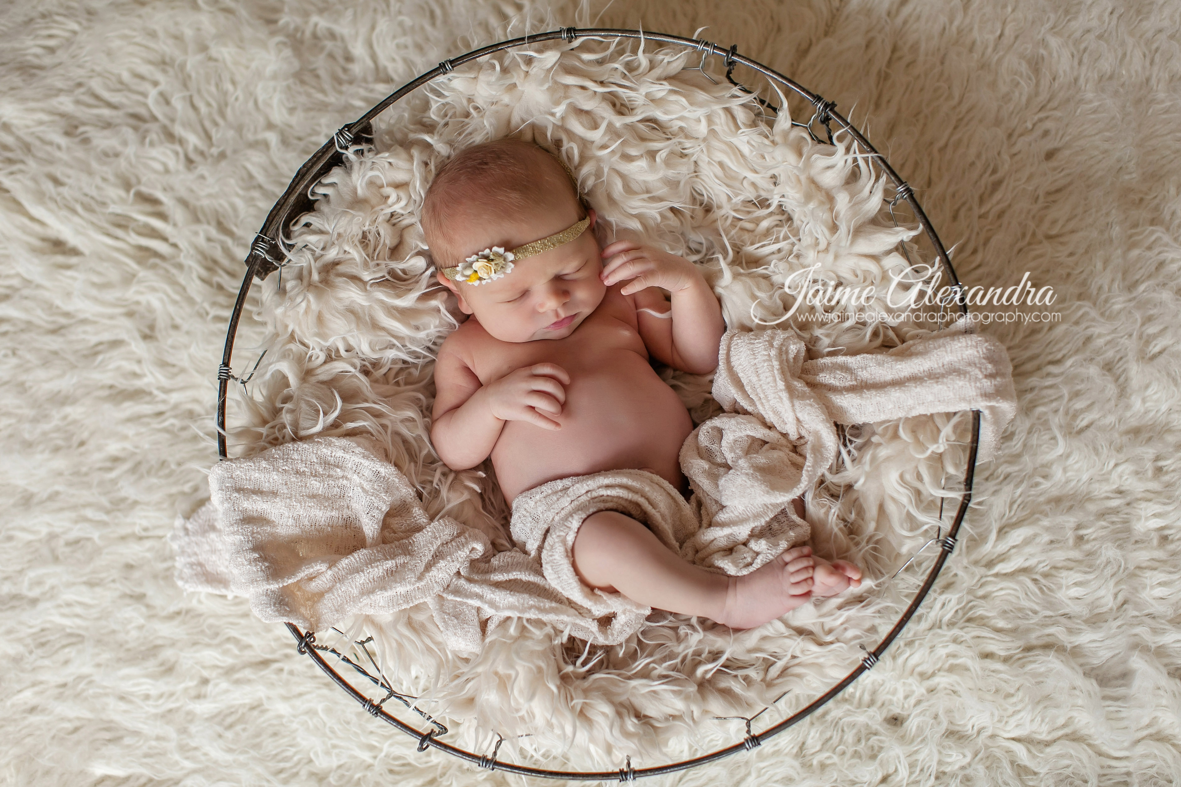 Midlothian Newborn Photographer, Dallas Newborn Photographer