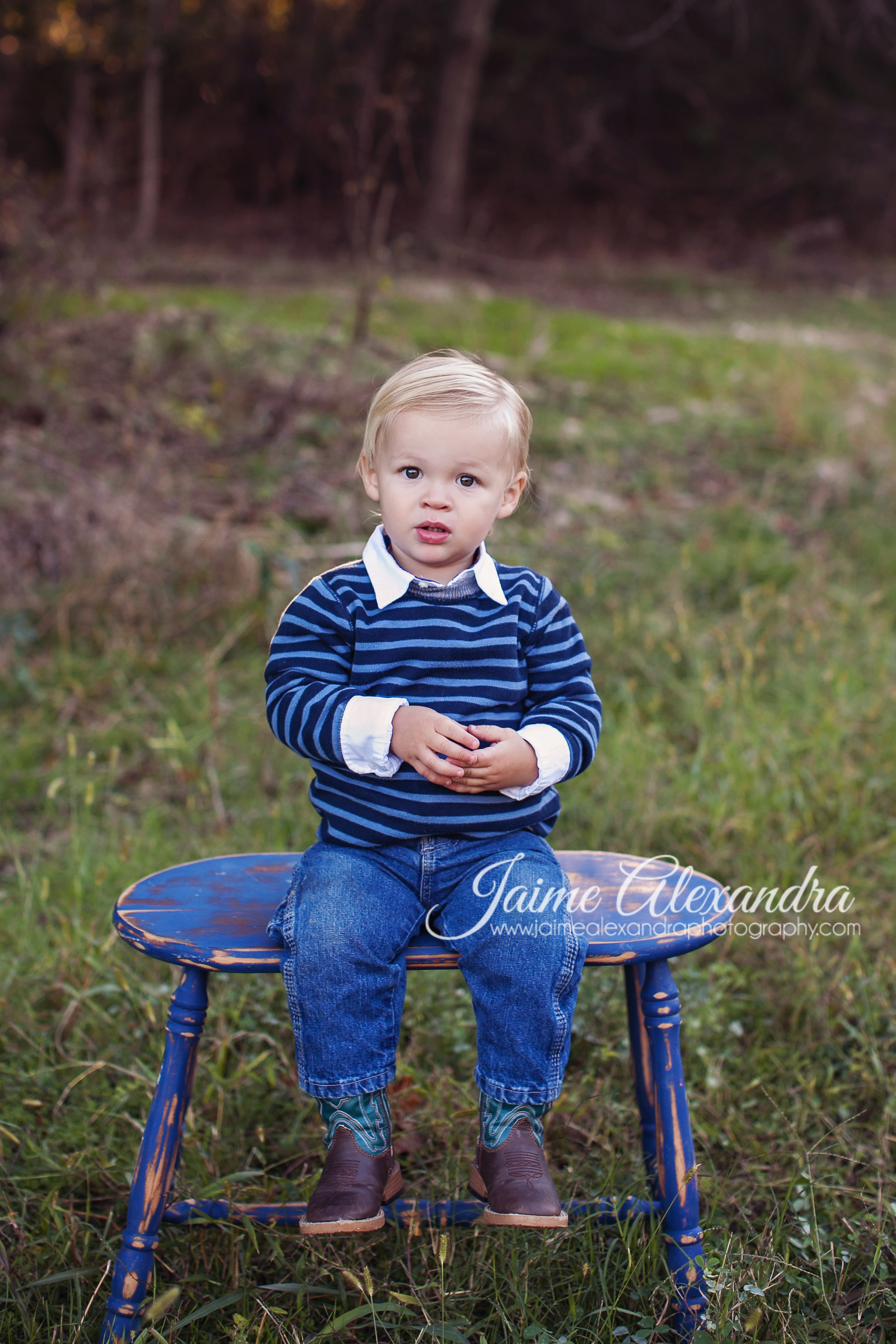 family photographer mansfield tx