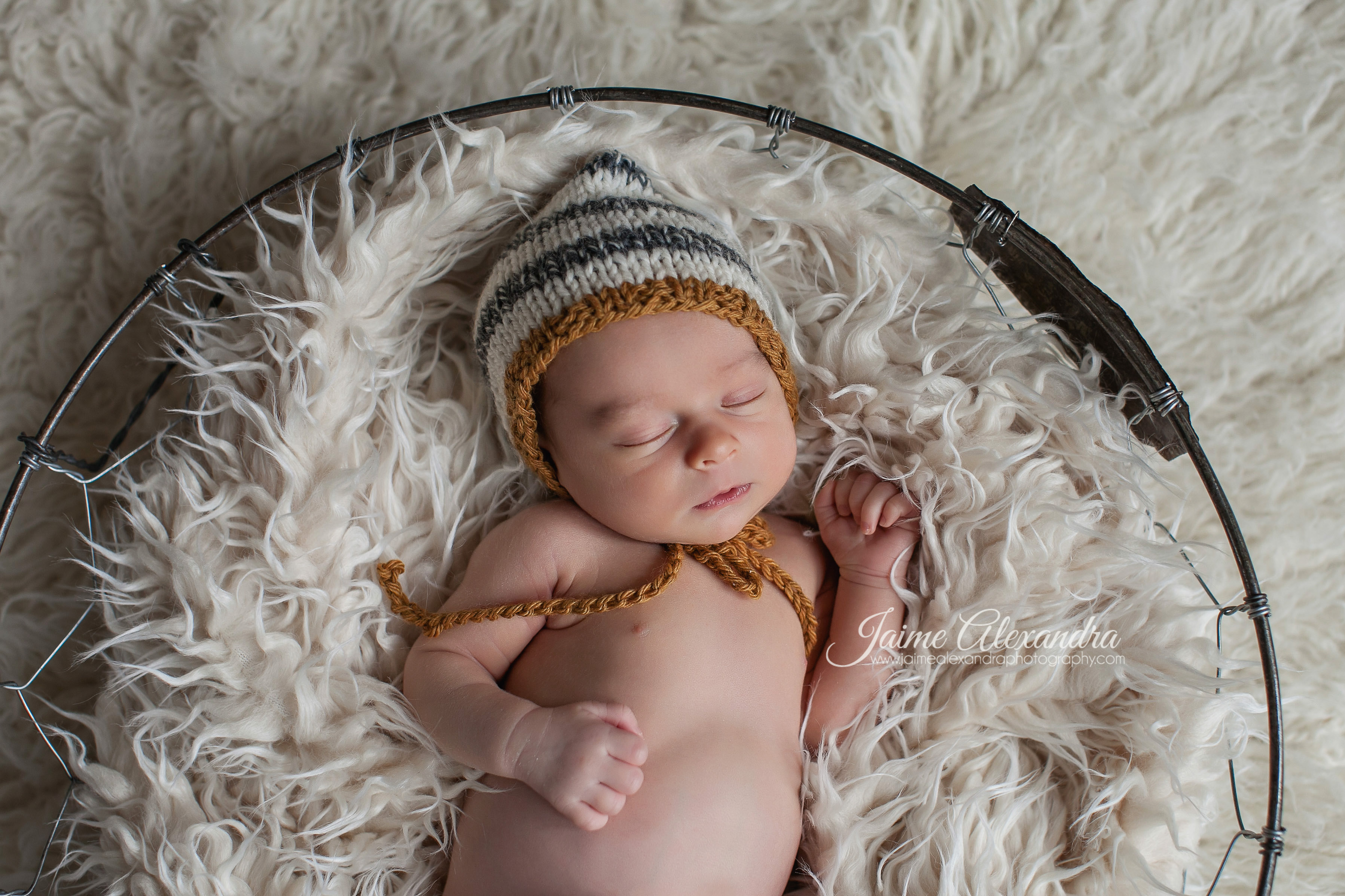 arlington texas newborn photography