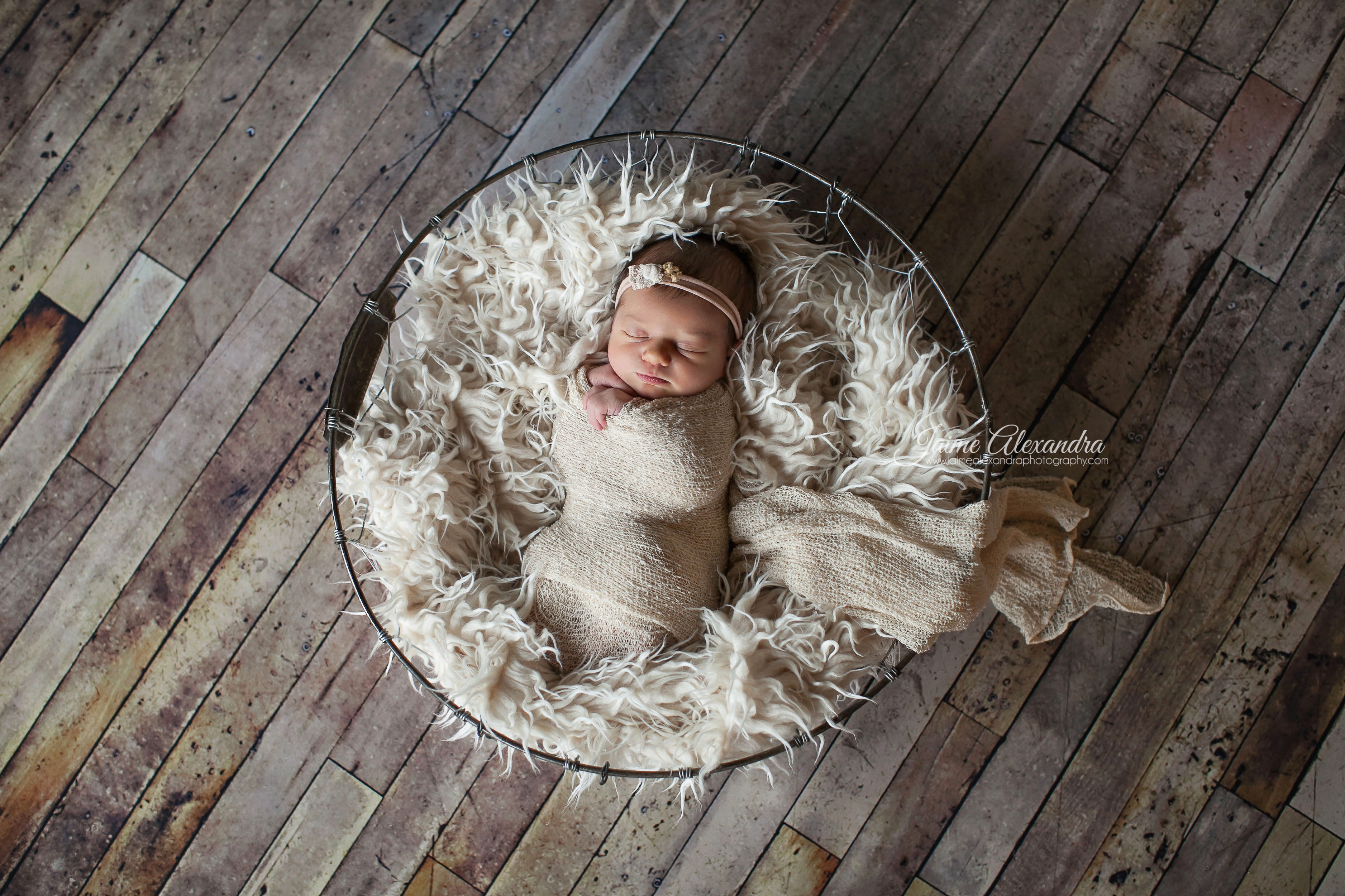 Mansfield Newborn Photographer