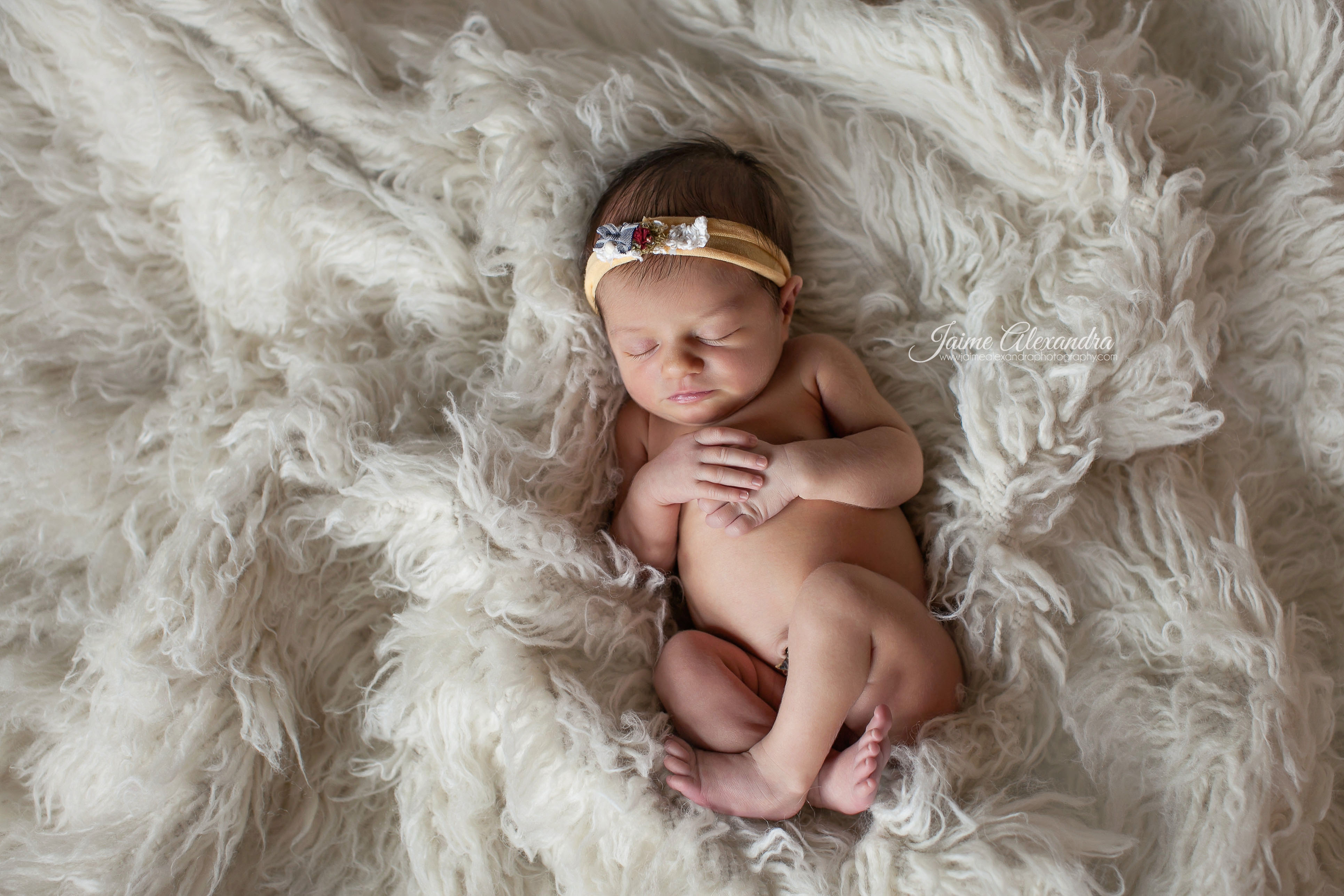 Mansfield Newborn Photographer