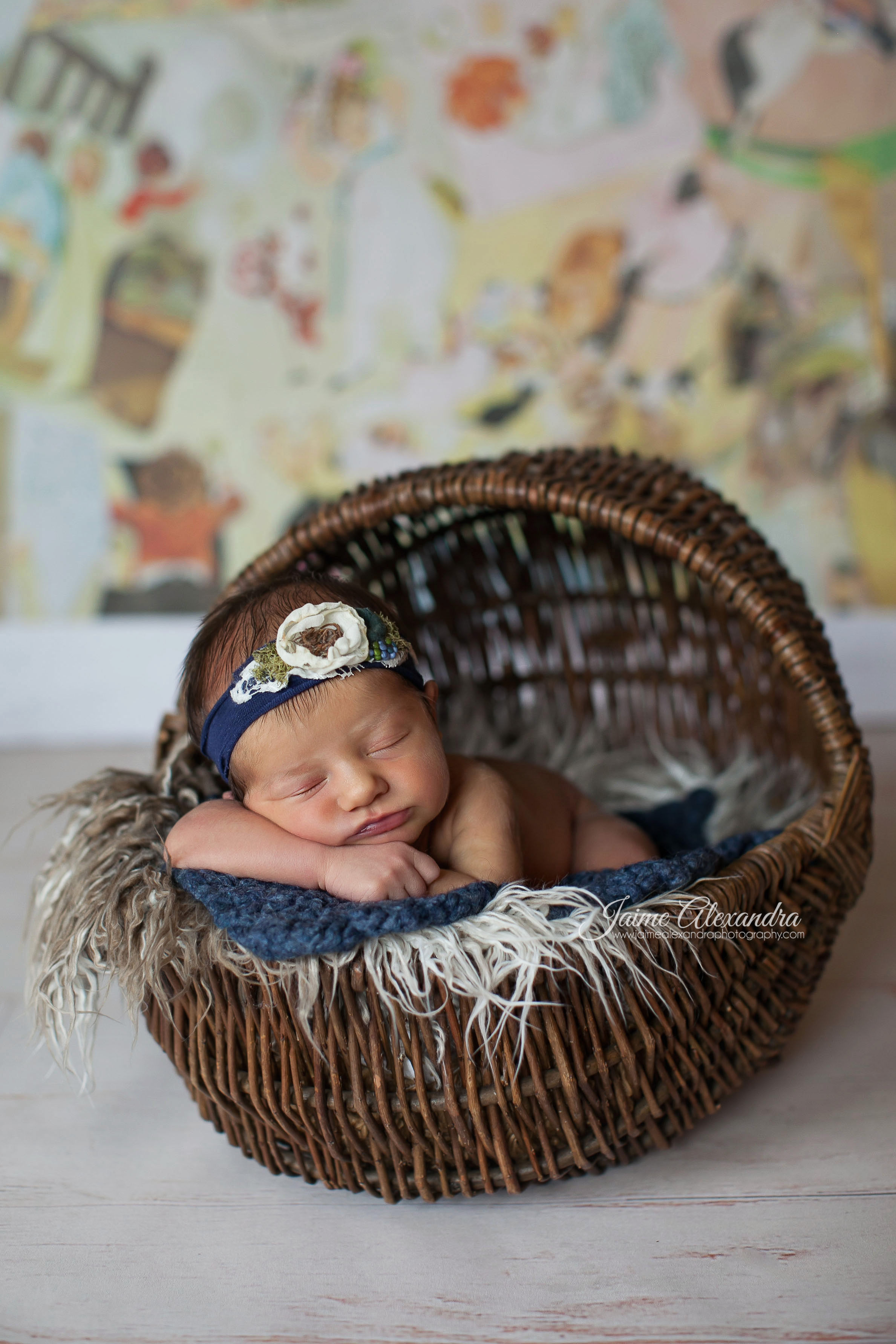 Mansfield Newborn Photographer