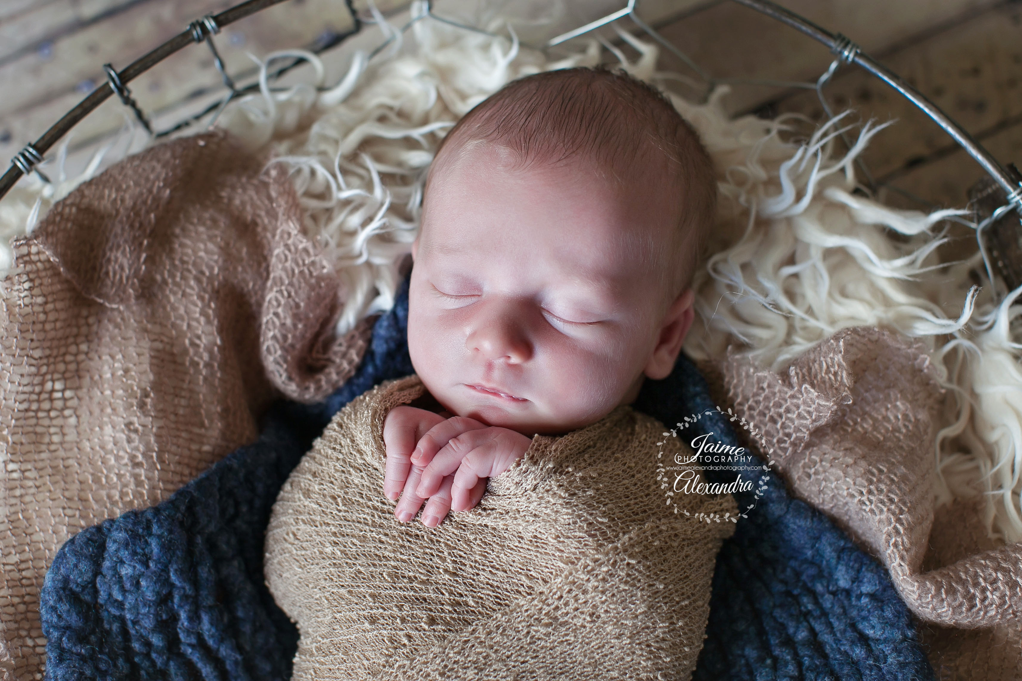 Ellis County Newborn Photographer