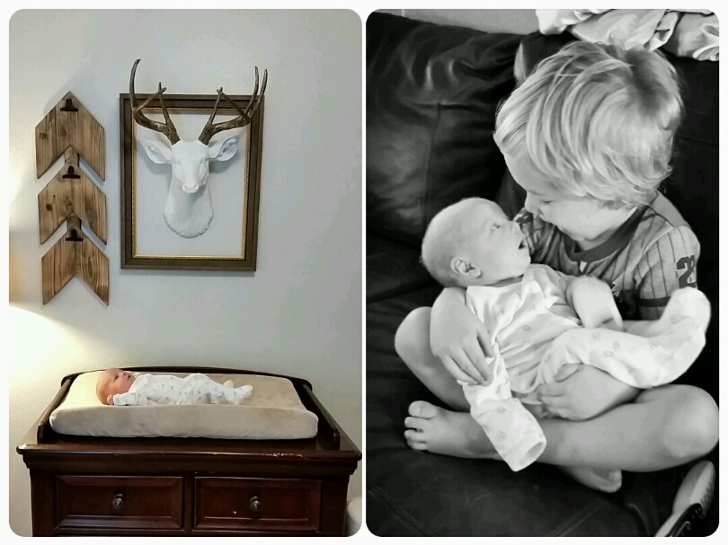 best newborn photographer fort worth tx