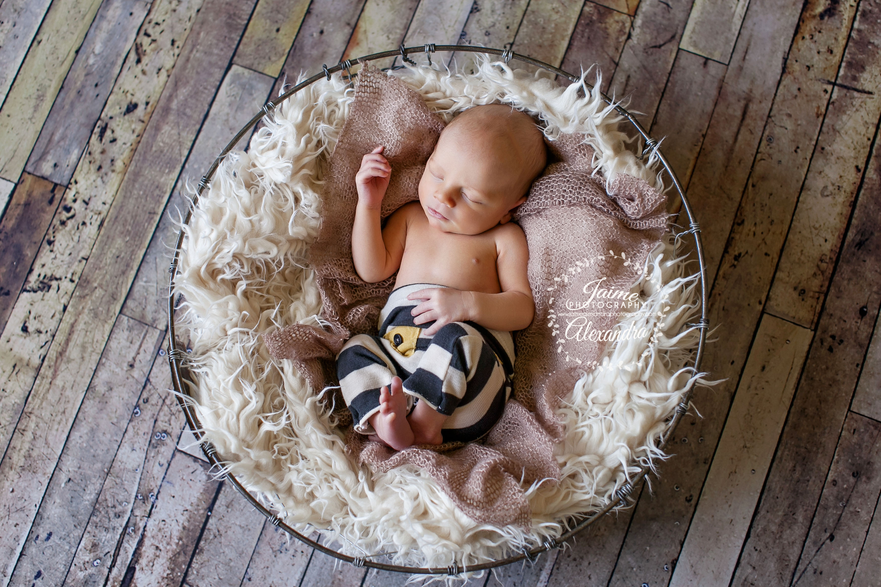 best newborn photographer fort worth tx