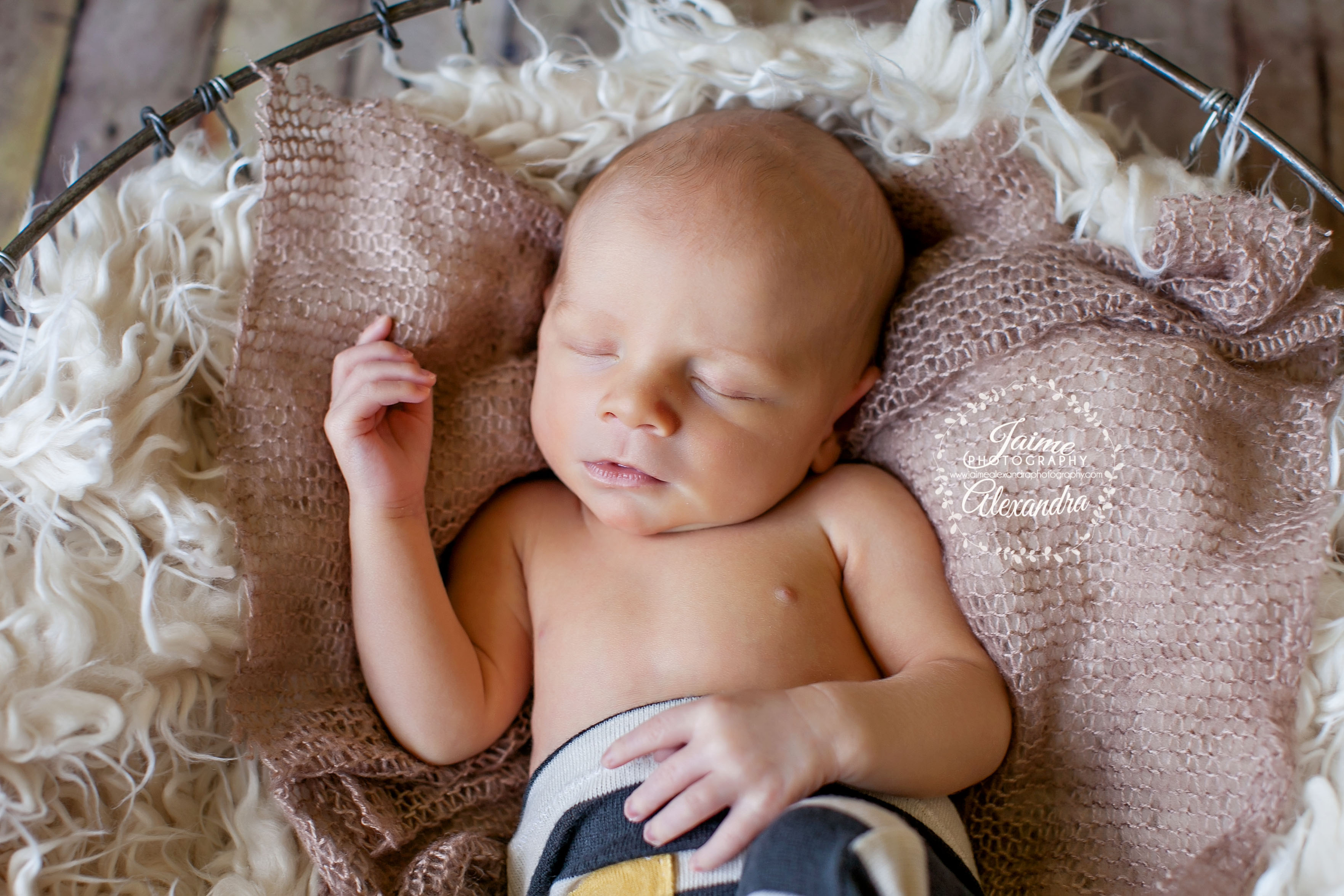 best newborn photographer fort worth tx