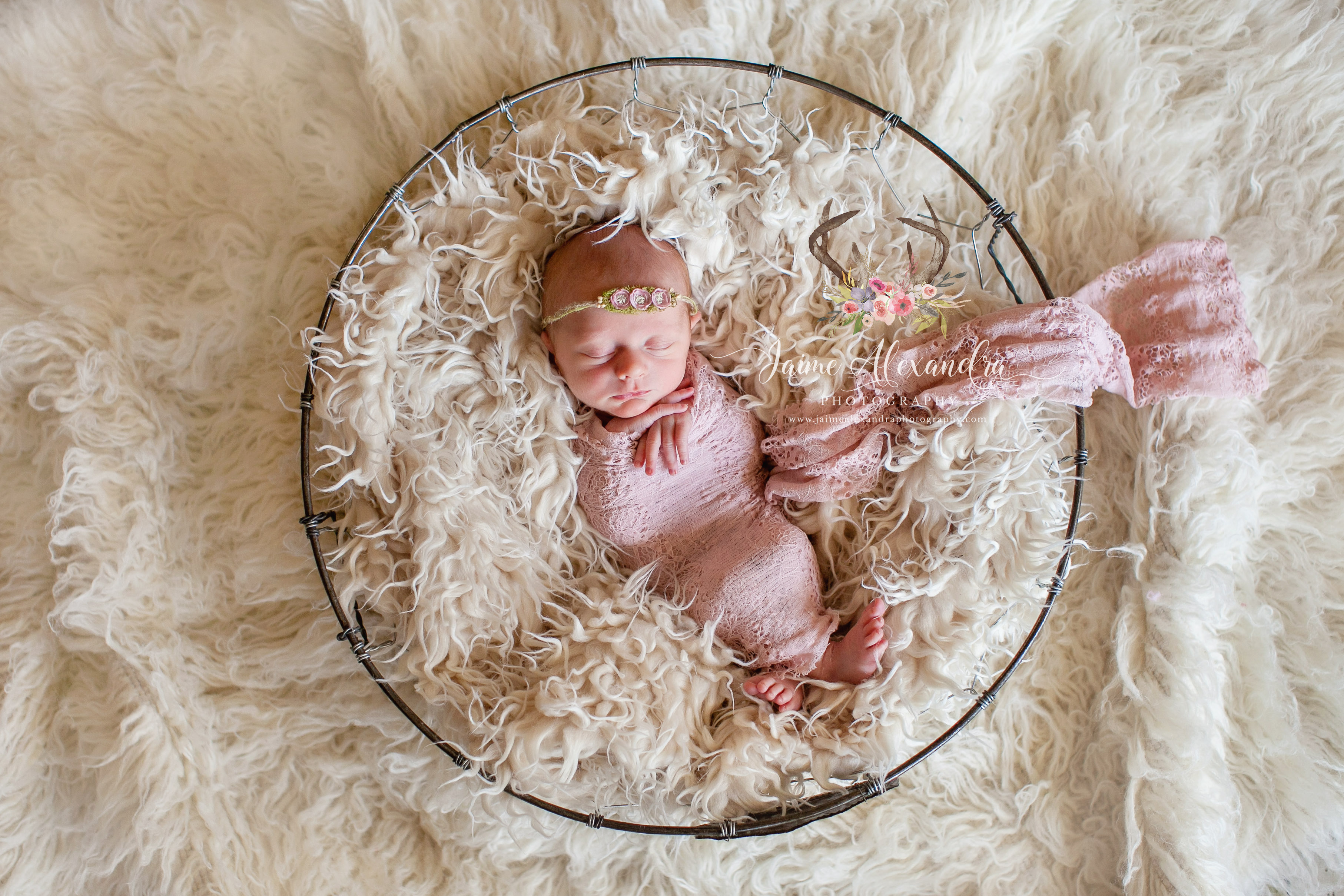 newborn photographer in midlothian texas