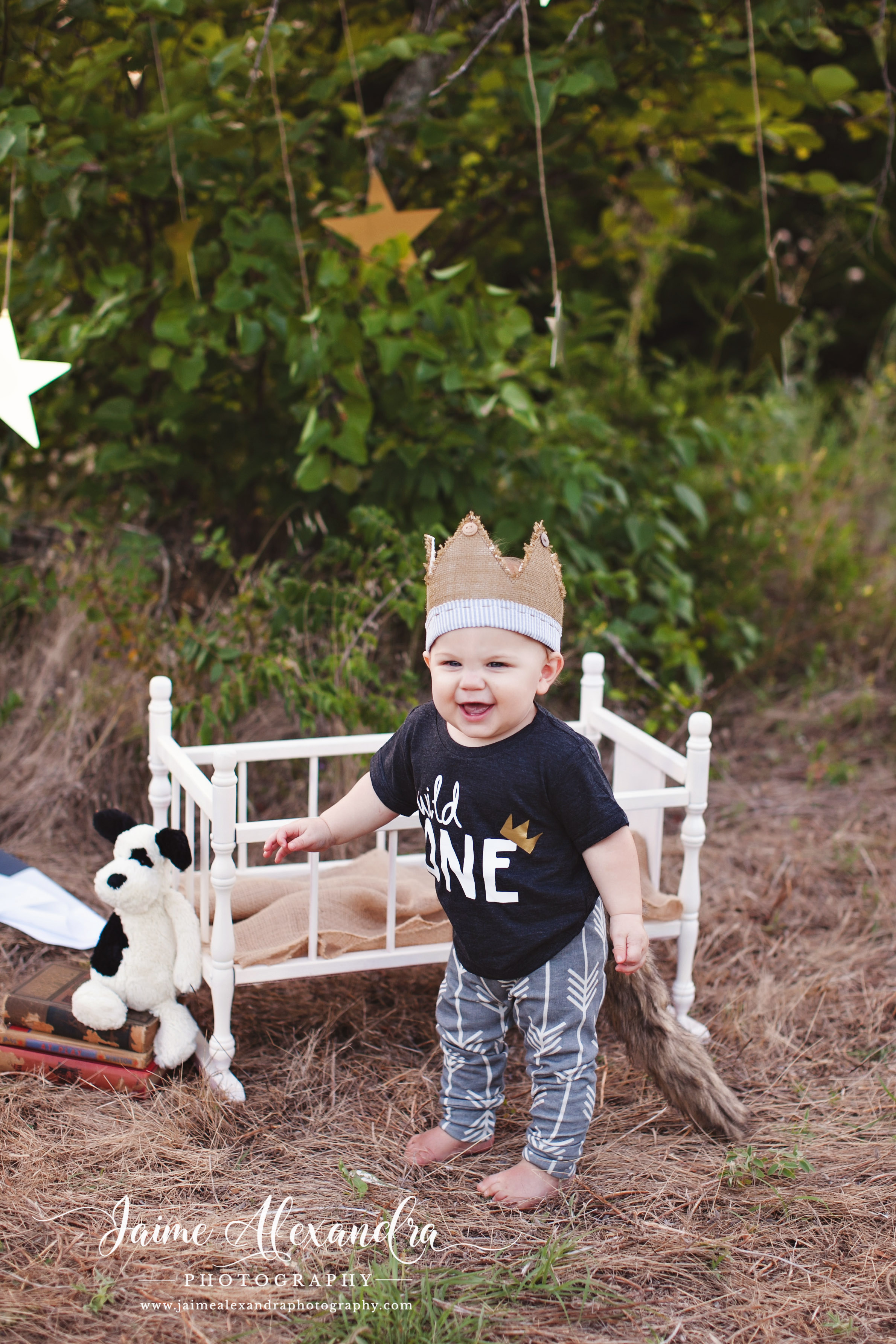 baby and family photographer midlothian tx