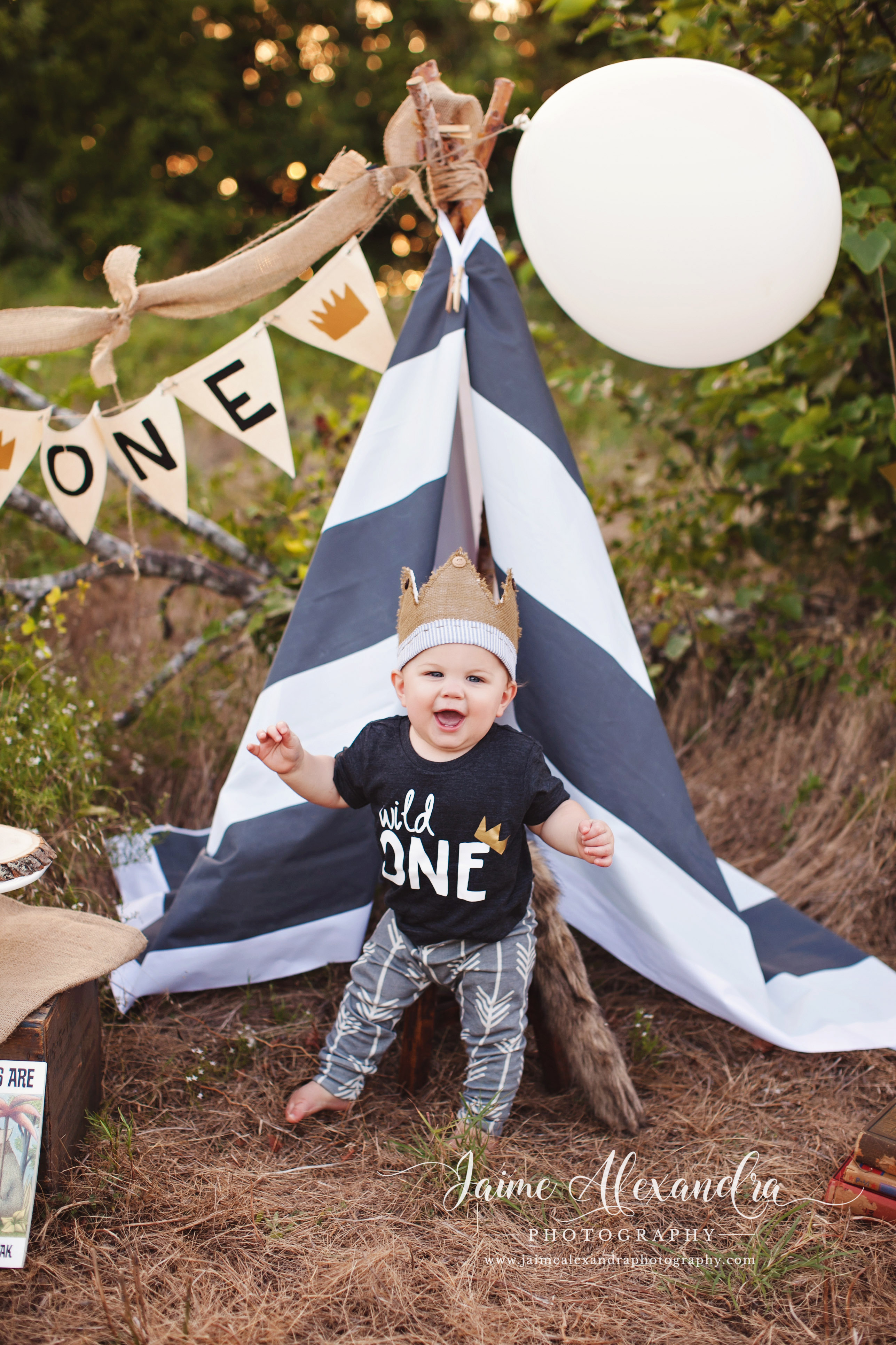 baby and family photographer midlothian tx