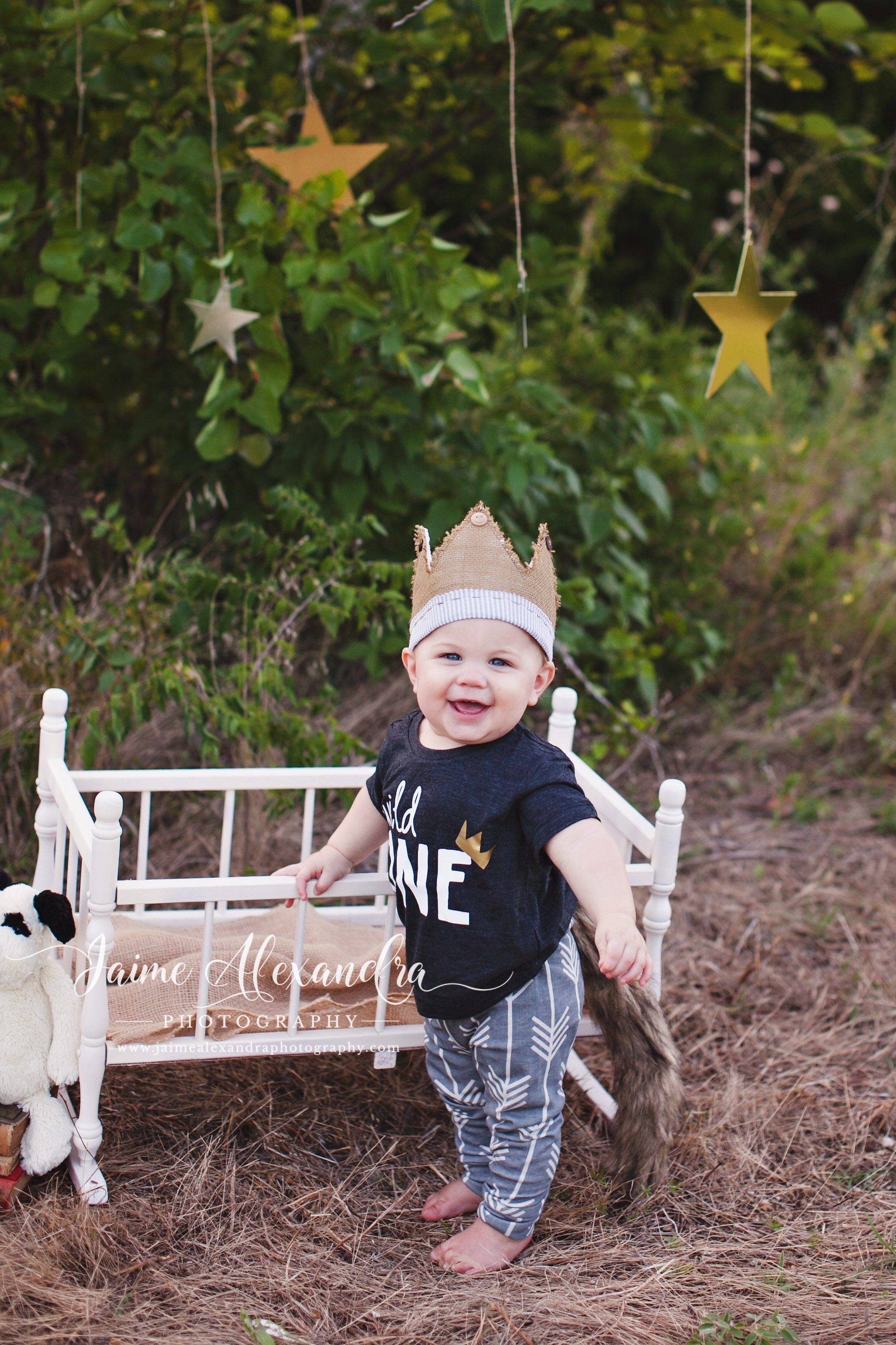 baby and family photographer midlothian tx