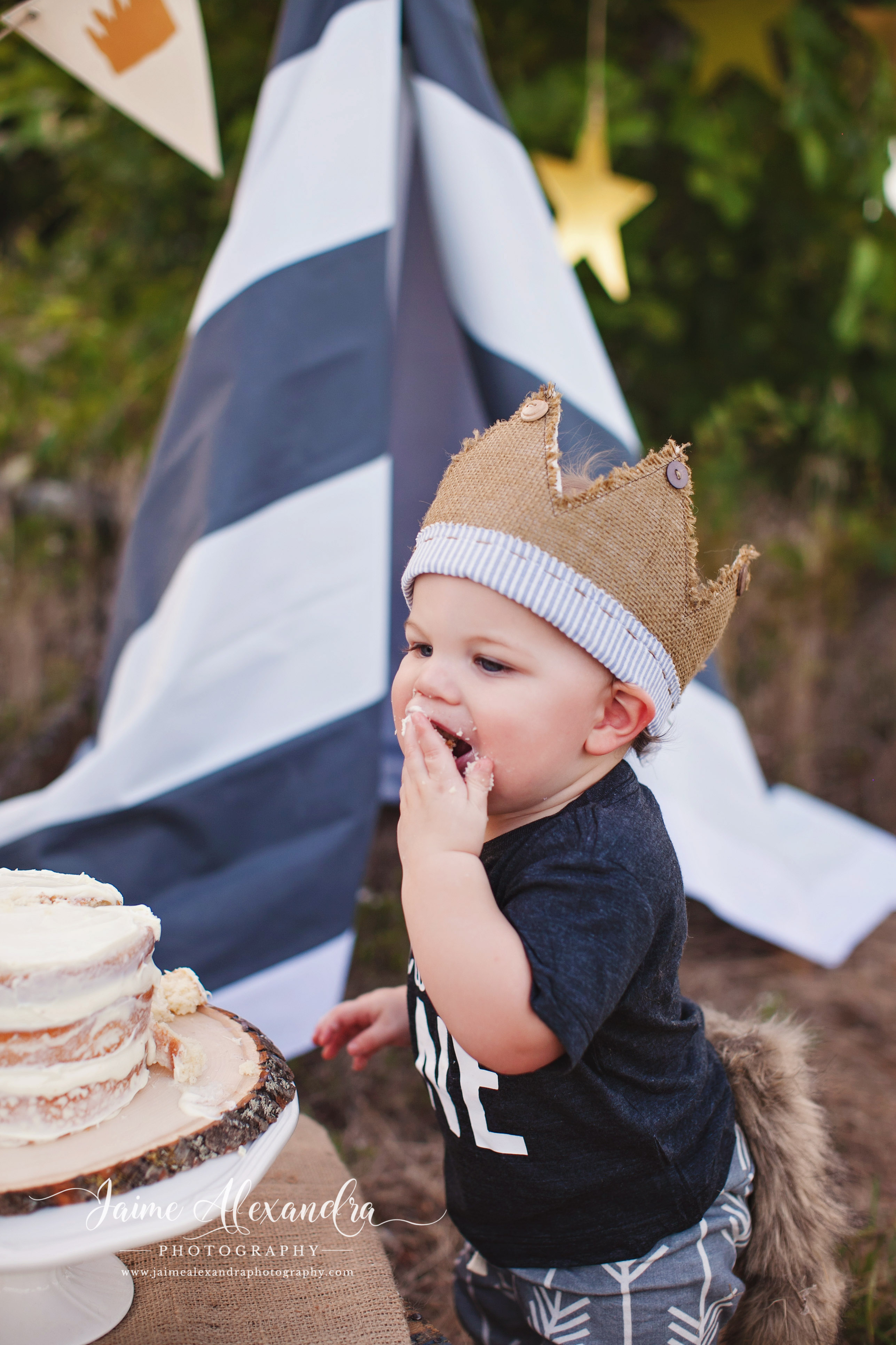 baby and family photographer midlothian tx