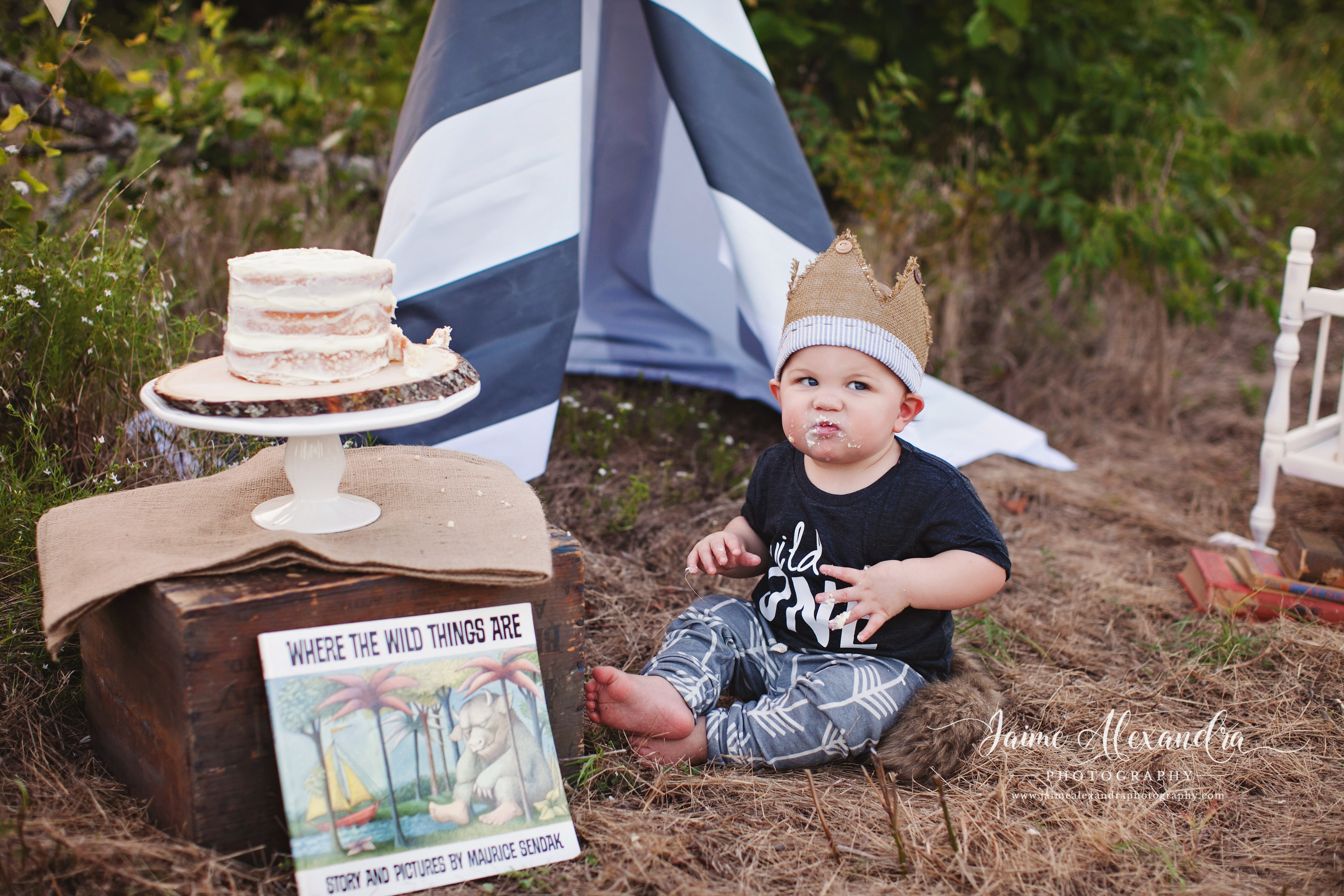 baby and family photographer midlothian tx